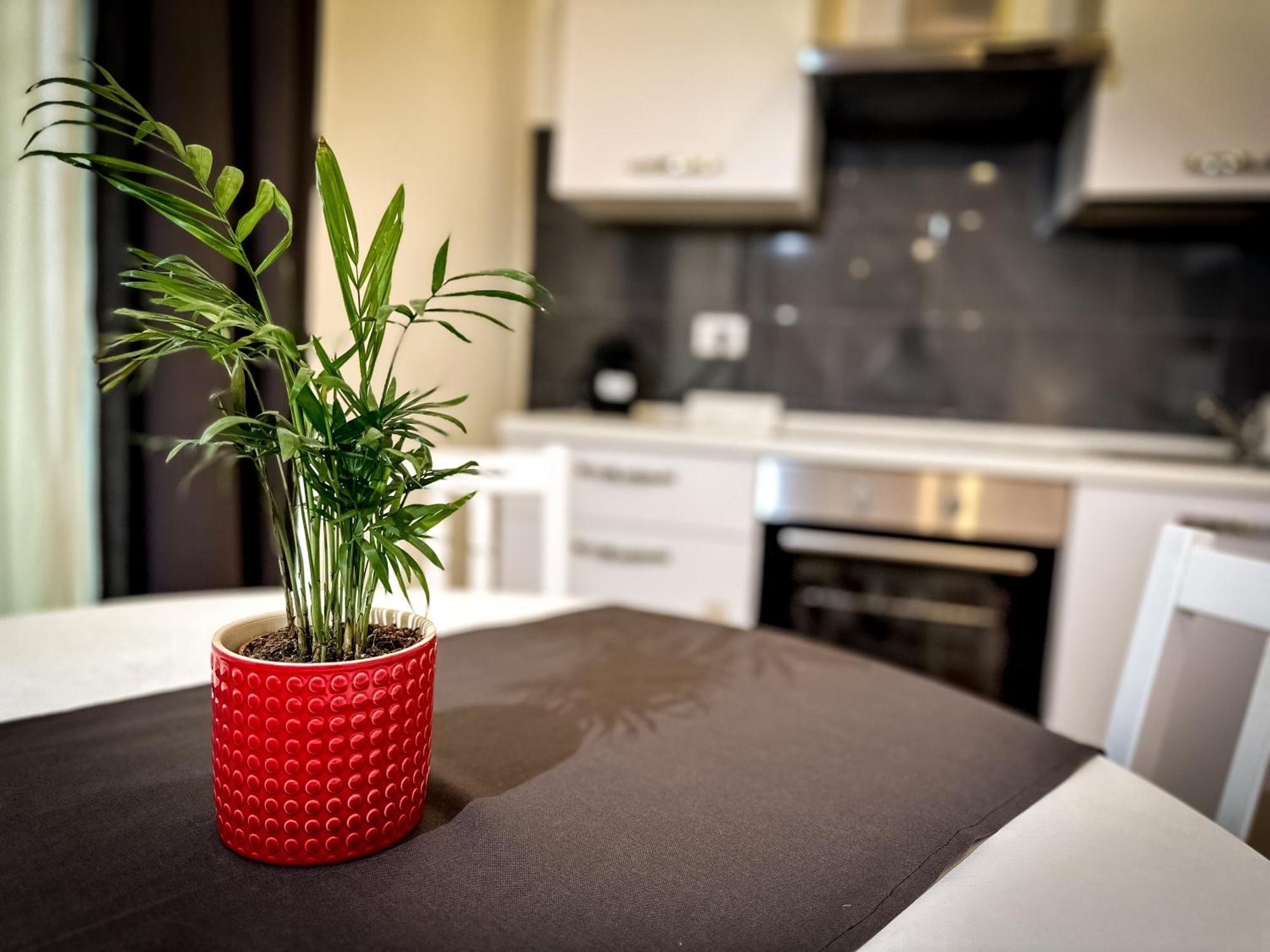 Da Rossella Apartment Roma Ngoại thất bức ảnh